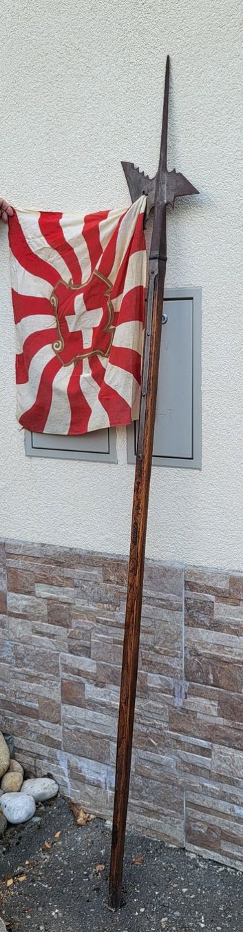 Stichwaffen: Hallebarde = H 215 cm – Gebraucht aus Bossonnens von nafnaf2018