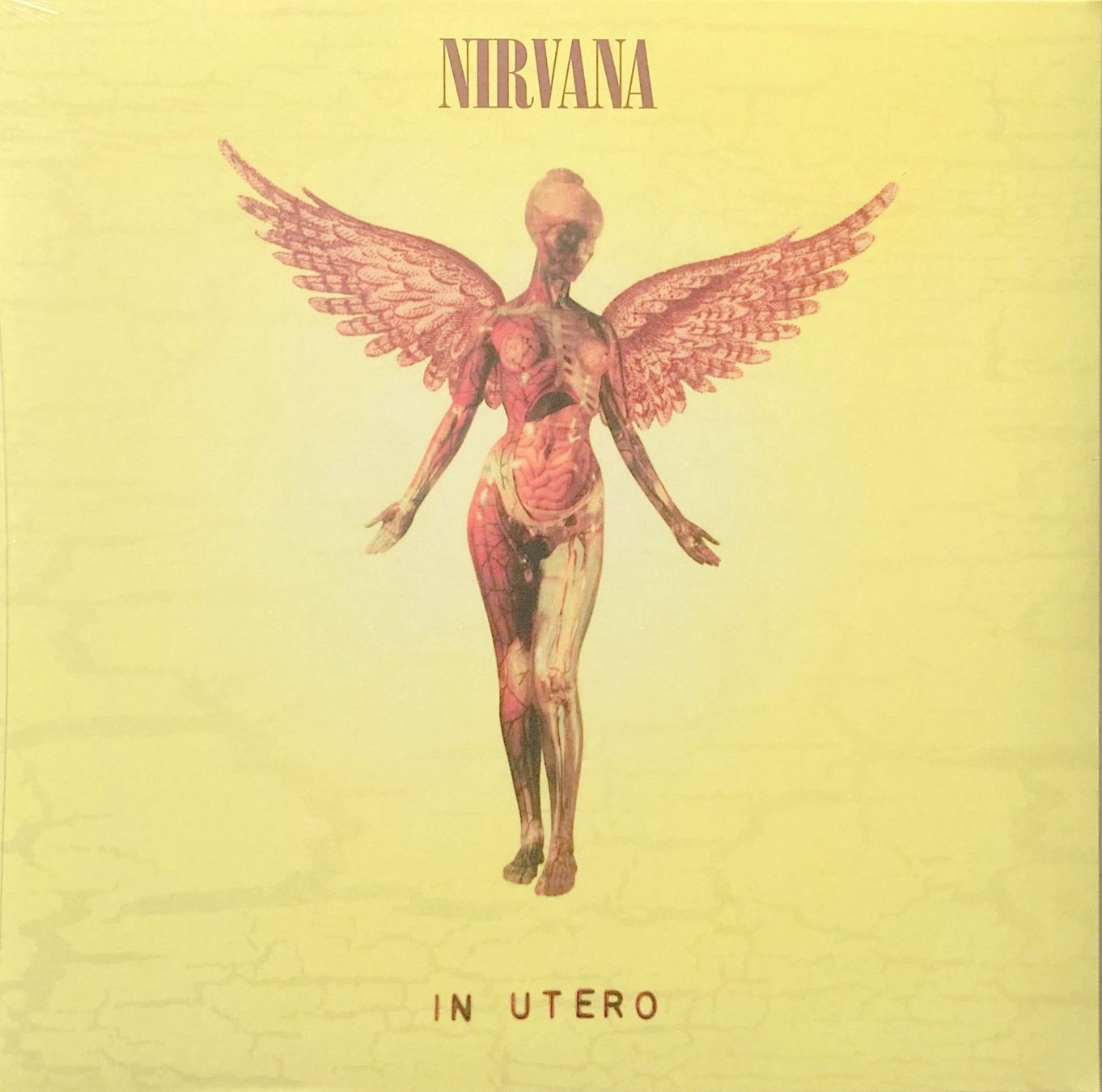 Dischi in vinile: NIRVANA - IN UTERO – Nuovo e nell'imballaggio originale da Bottens venduto da hotter-than-hell