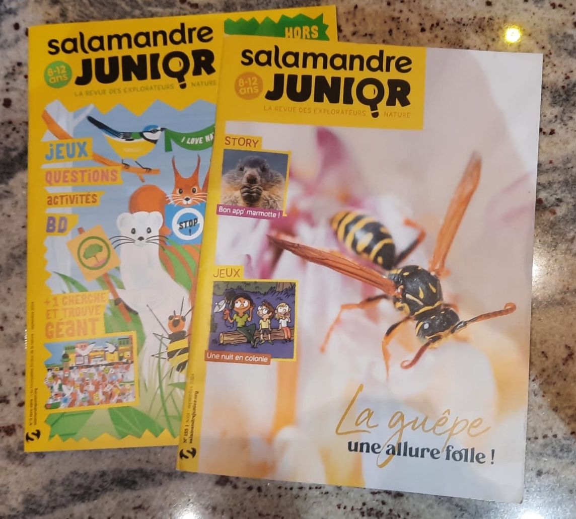 Riviste & Magazine: 25x Terre & Nature Junior Science&Vie-Junior, Salamandre Jun – Usato da Grugnay (Chamoson) venduto da Ultramab 2