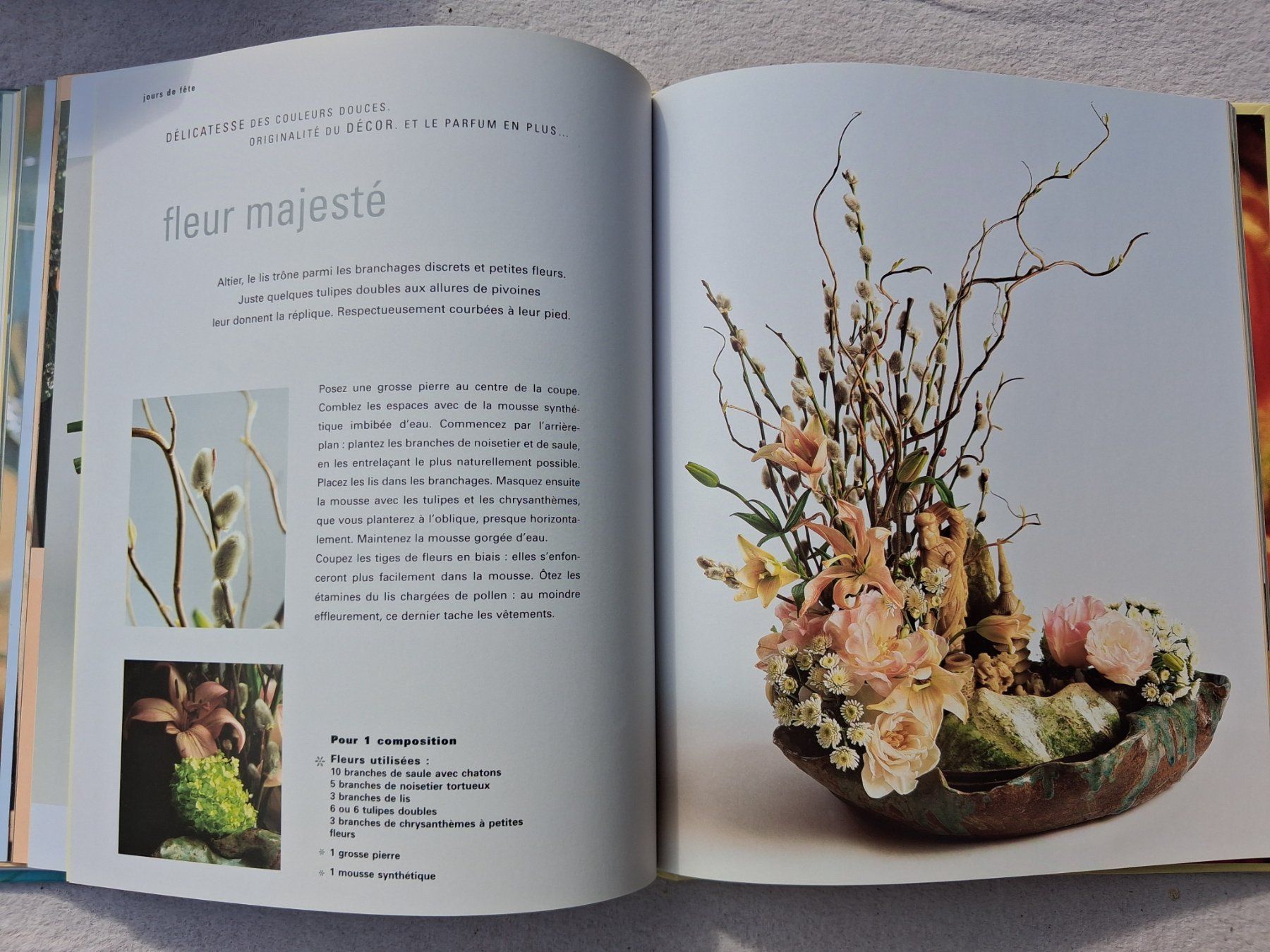 Libri: Décors de fleurs pour la maison – Usato da Fully venduto da Minouchka 6