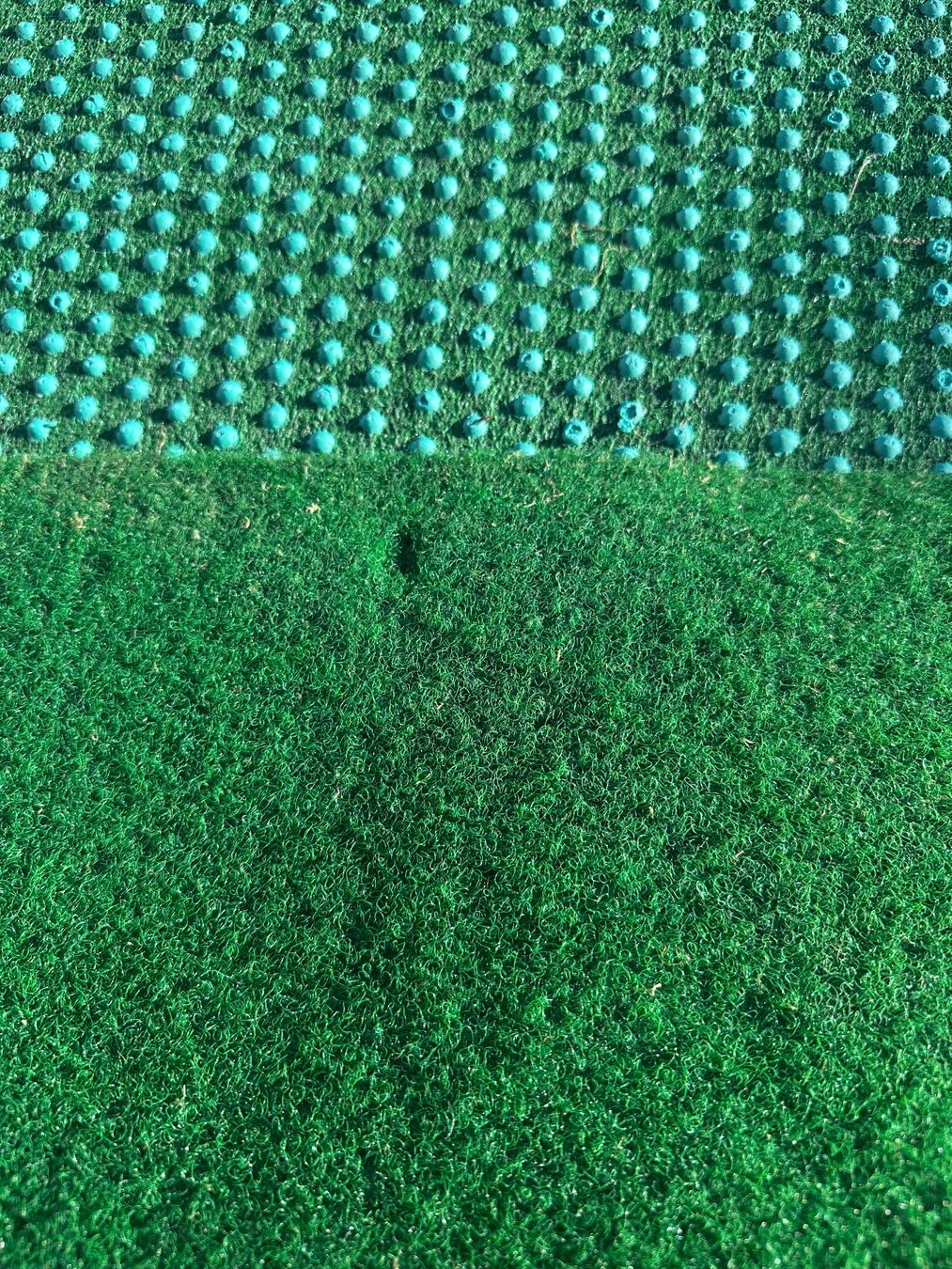 Tappetini fitness: Tapis gazon Premium - Restes de rouleaux – Nuovo e nell'imballaggio originale da Promasens venduto da Toblerone83 1
