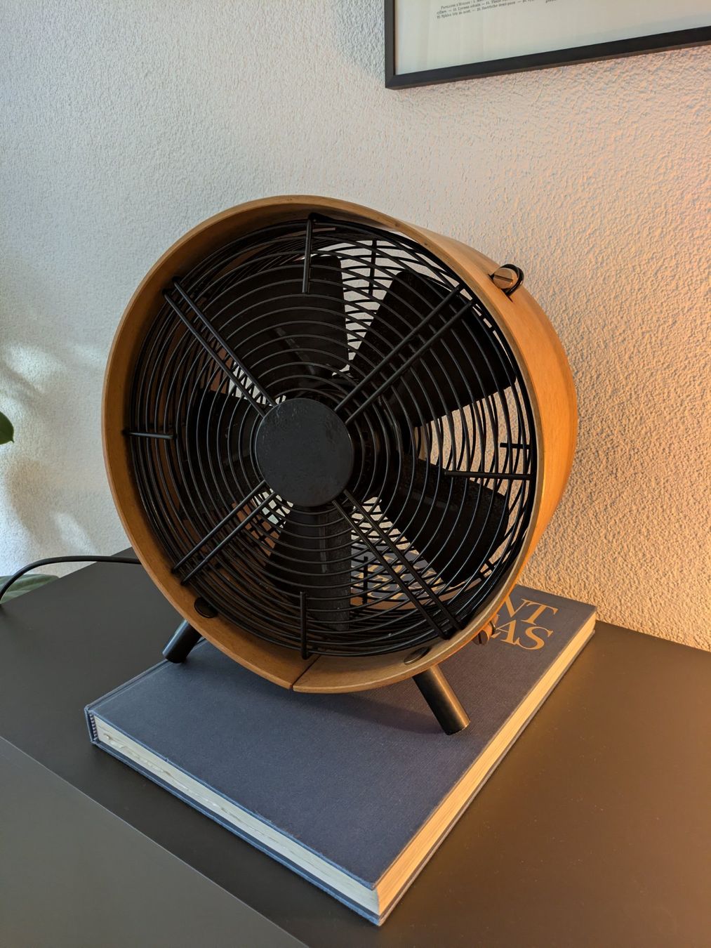 Stadler Form Ventilatori: Stadler Form Otto Ventilator – Usato da Liebefeld venduto da Chrisboim 1