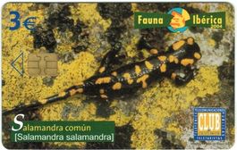 Privat Telefonkarte Spanien Salamander