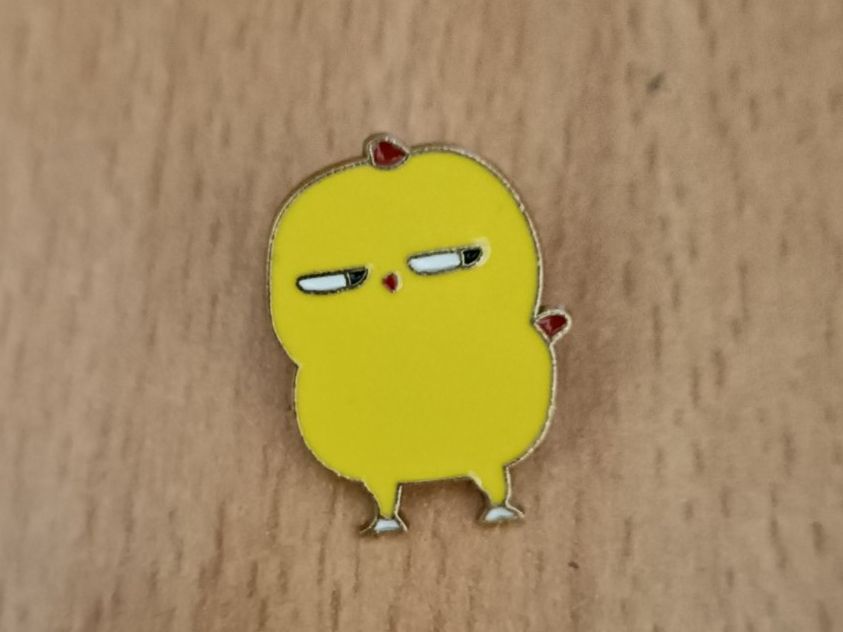 Placchette & Badge: Pin Was ist los? - Box 11 – Usato da Köniz venduto da Pinscollect