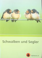 Das faszinierende Leben der Schwalben & Segler (2012)