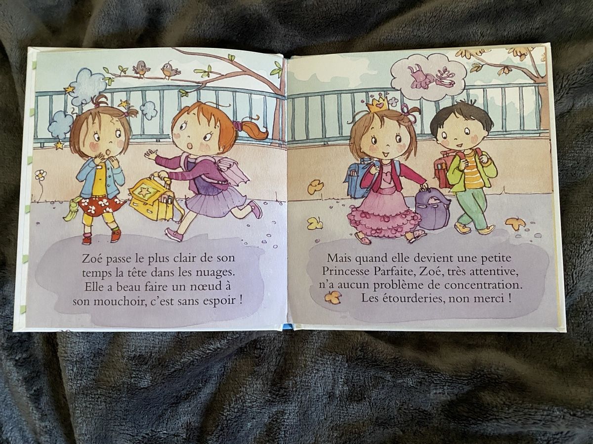 Libri: Livre "Princesse Parfaite – Usato da Lignières venduto da The_assistant 1