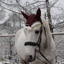 Profile image of ani_v2yp