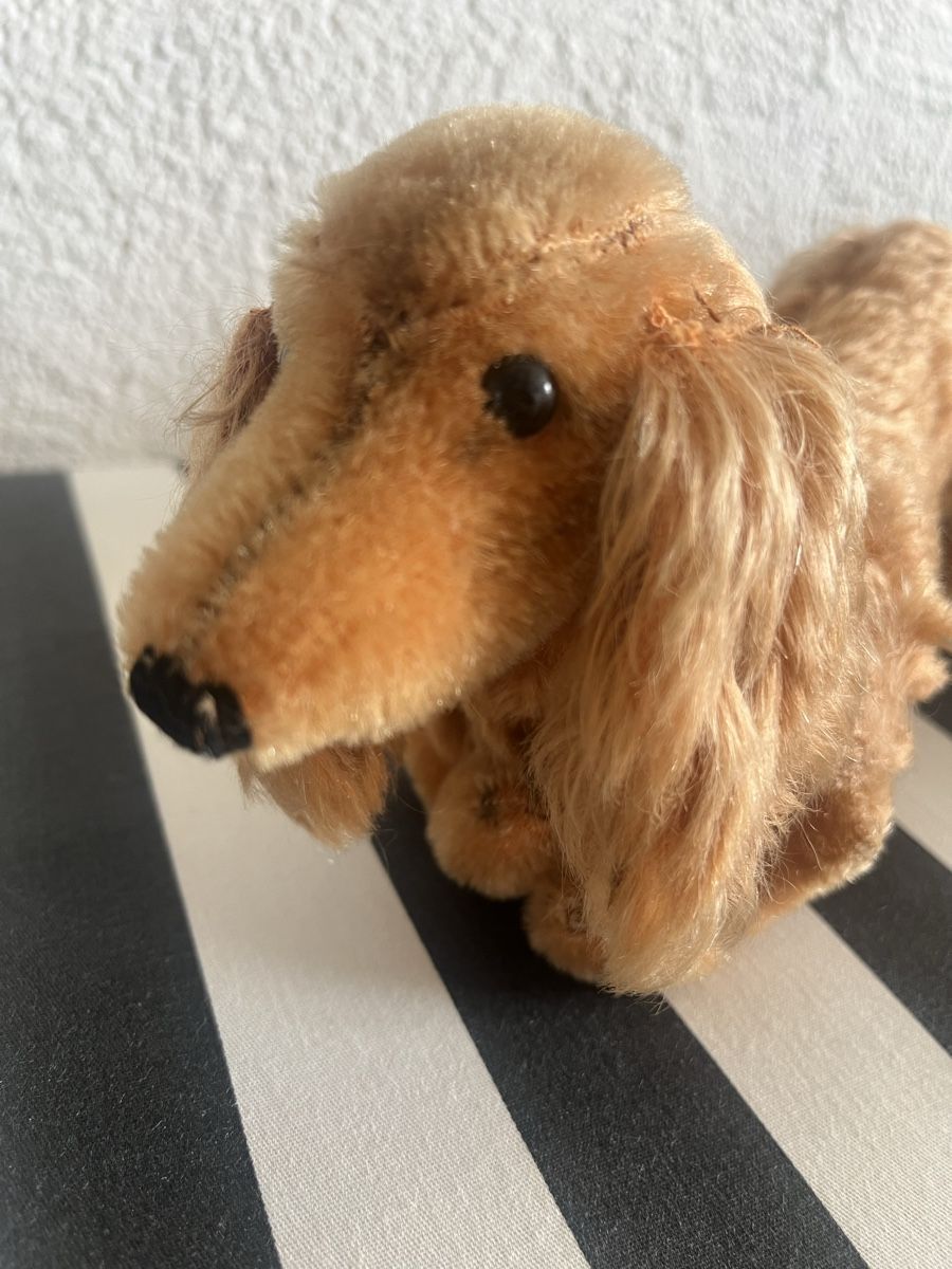 Steiff Spielzeuge: Steiff Waldi Dackel – Gebraucht aus Rorschacherberg von Artmaru 1