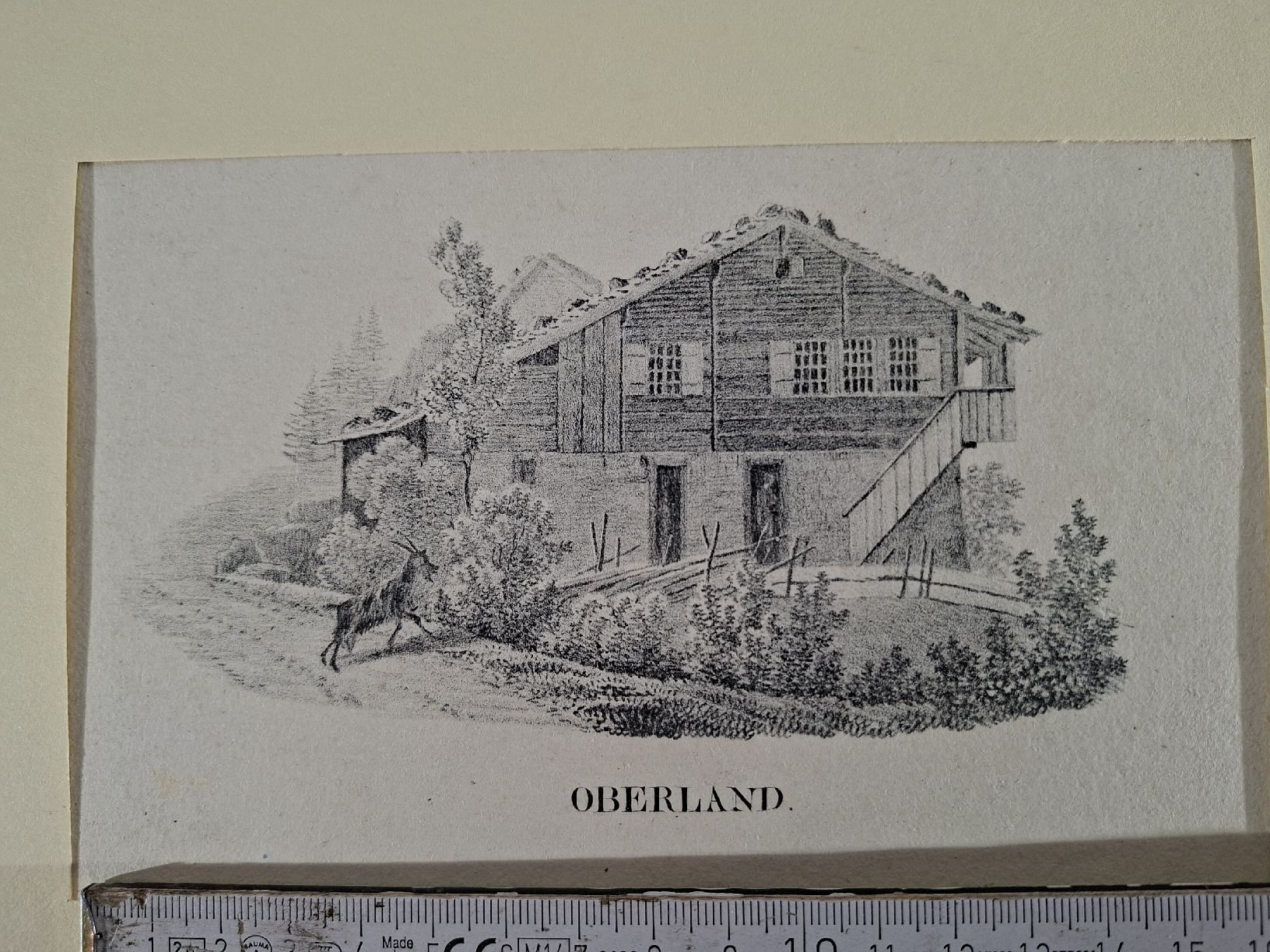 Incisioni: Lot  56 , 10 Stiche  – Usato da Grindelwald venduto da carro5 1