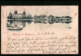 AK Gottlieben, Ortspartie am Ufer, 1899