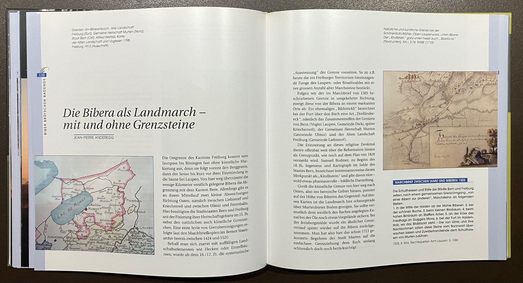 Libri: Freiburg - Gewässer - Geschichte - Bibera – Usato da Menziken venduto da timbuktu1001 6