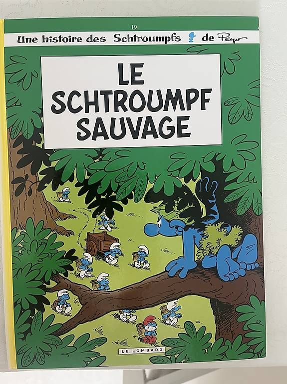 Fumetti: BD Schtroumpfs – Usato da Lausanne venduto da Catherine1003 1
