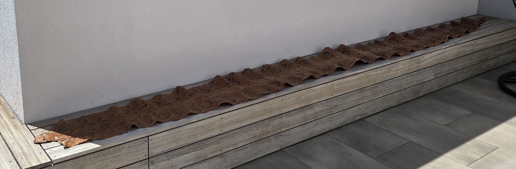 Tessuti: Schlangenhaut Python braun gemustert ca. 450 cm – Nuovo (secondo la descrizione) da Kreuzlingen venduto da gogi3 7