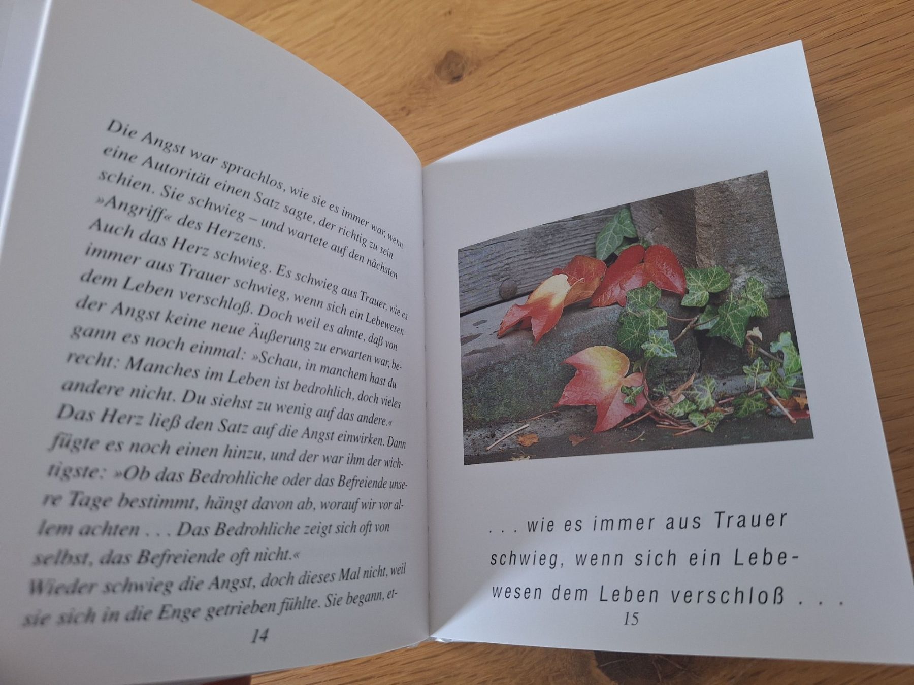 Libri: Buch Gespräche des Herzens Uwe Boschemeyer gebraucht – Usato da Wanzwil venduto da chlinih93 2