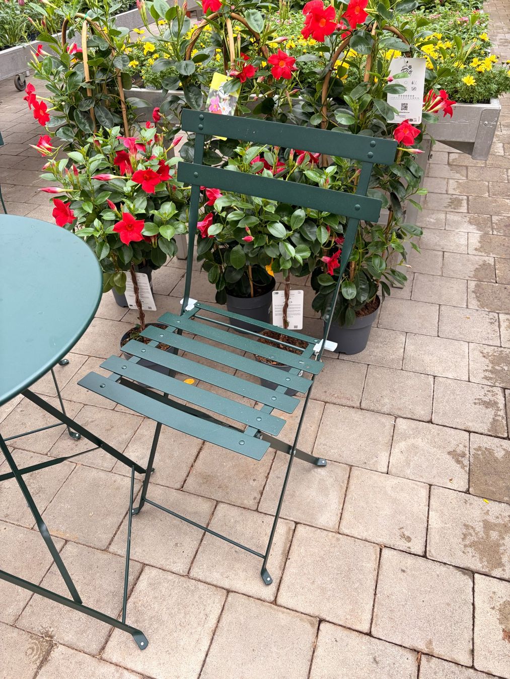 Set di tavolo e panche: Bistrotisch dunkelgrün – Nuovo (secondo la descrizione) da Sursee venduto da pflugshaupt01 1