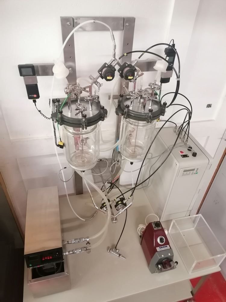 Accessori da laboratorio: 2 x 3l Doppelmantel Bioreaktor - Anlage – Usato da Niederdorf venduto da LeptonAG_Labor