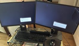 2 Dell Monitore P2317H, Tastatur, Maus und Lautsprecher