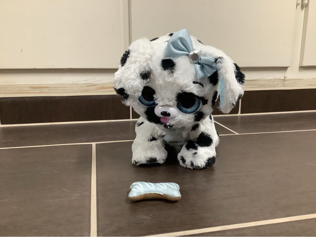 Giocattoli: Present Pets Hund mit Funktionen – Usato da Brugg AG venduto da Sweety_pie