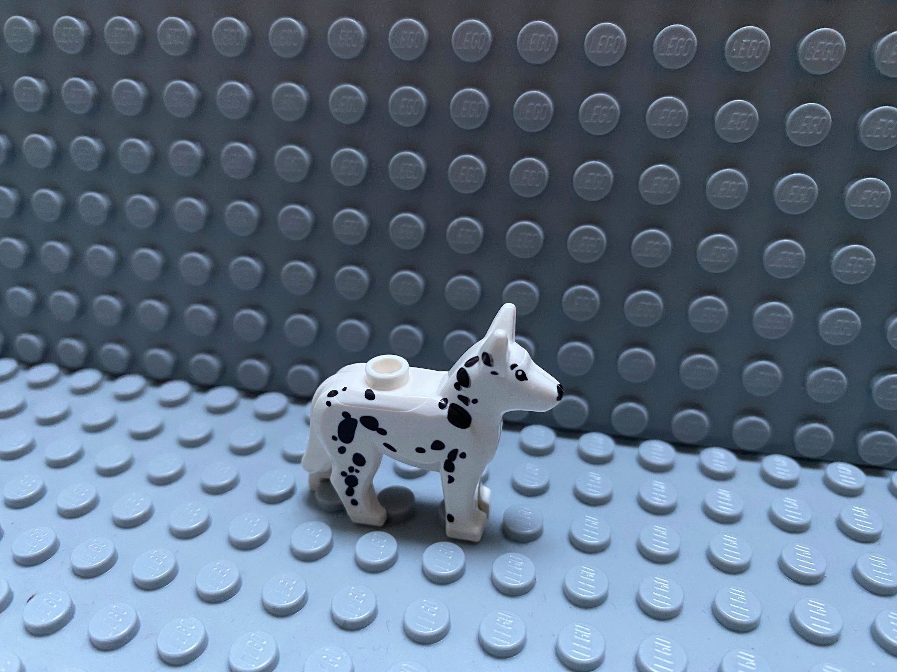 Lego Kit di costruzioni: Lego Tiere - Hund Dalmatiner – Usato da Horw venduto da G39517sG