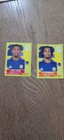 Autocollants Panini FIFA World Cup 2026 United Edition