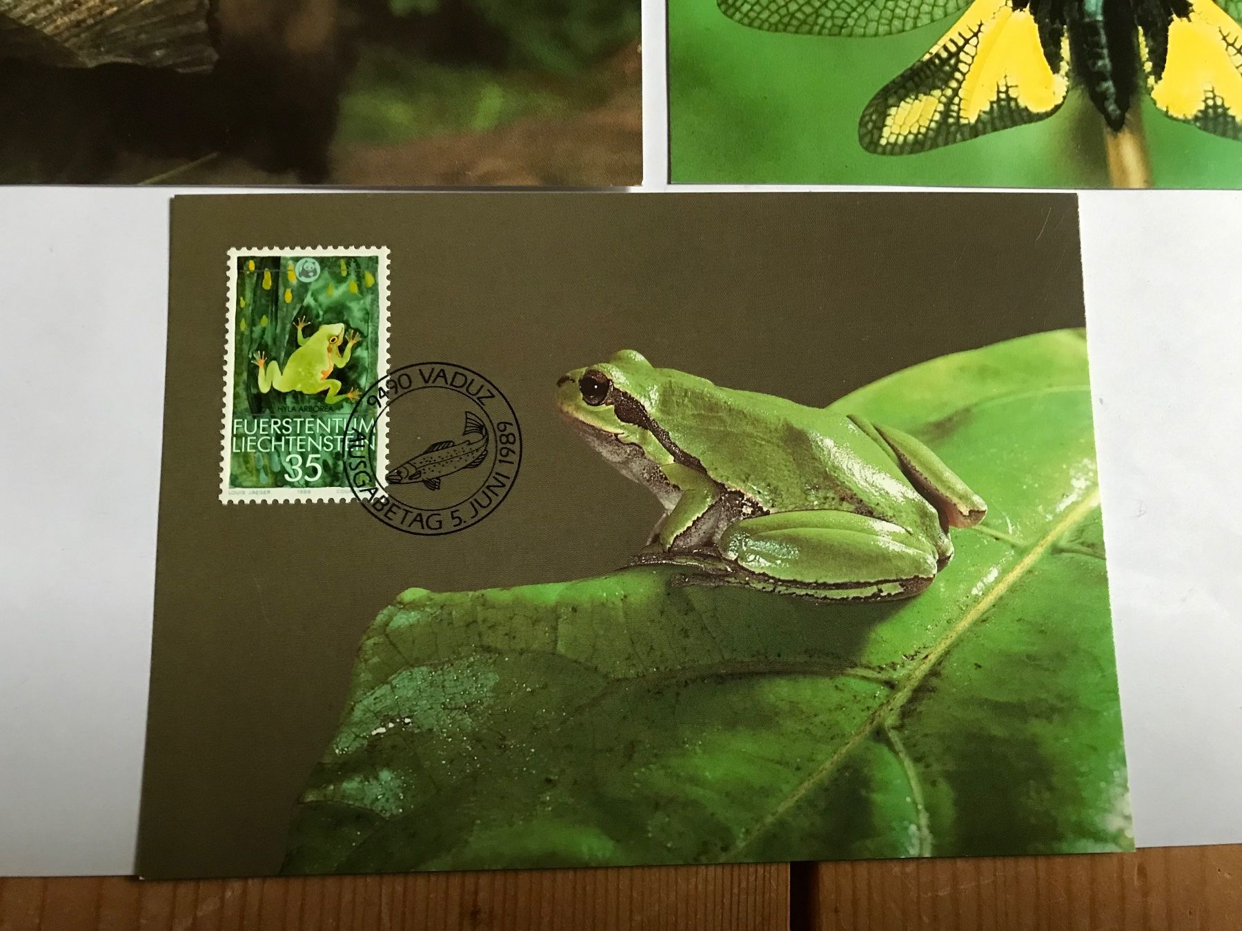 Tutti i francobolli: briefmarken FL 3 karten 5 juni 1989 – Usato da liestal venduto da makai05 3