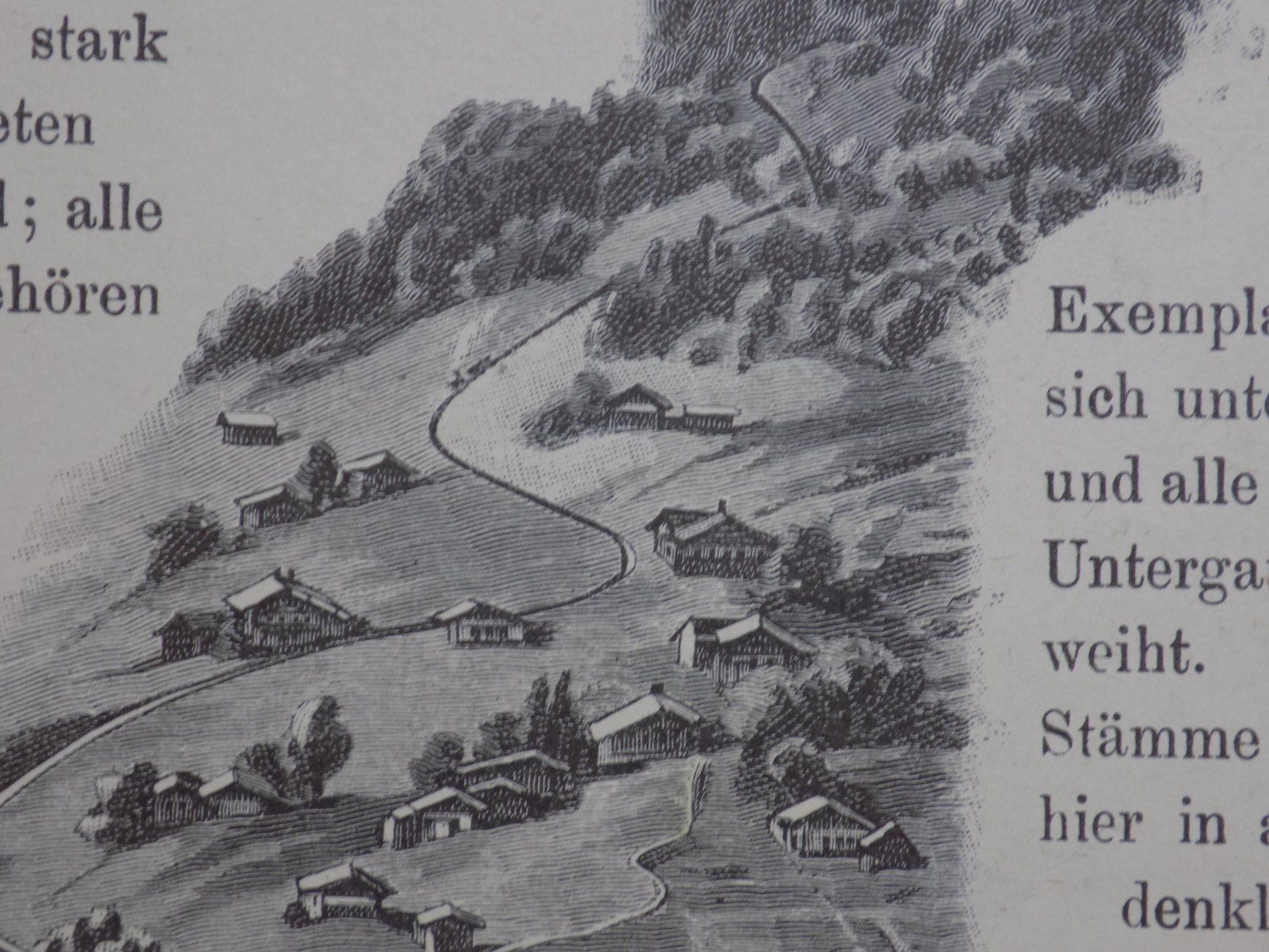 Incisioni: Grindelwald Bahnen – Usato da Risch venduto da Rischli15 5