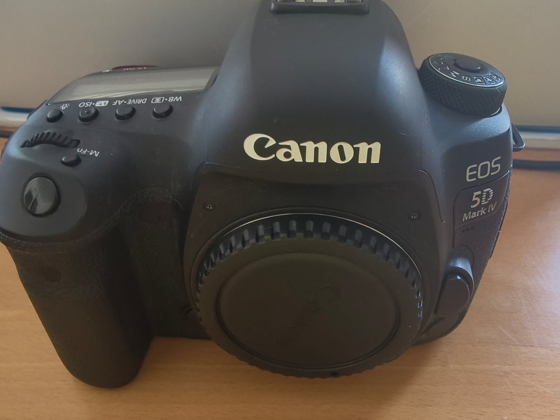 Canon Kamera: Canon EOS 5D Mark IV – Gebraucht aus Wernetshausen von Weiskopfadler 1