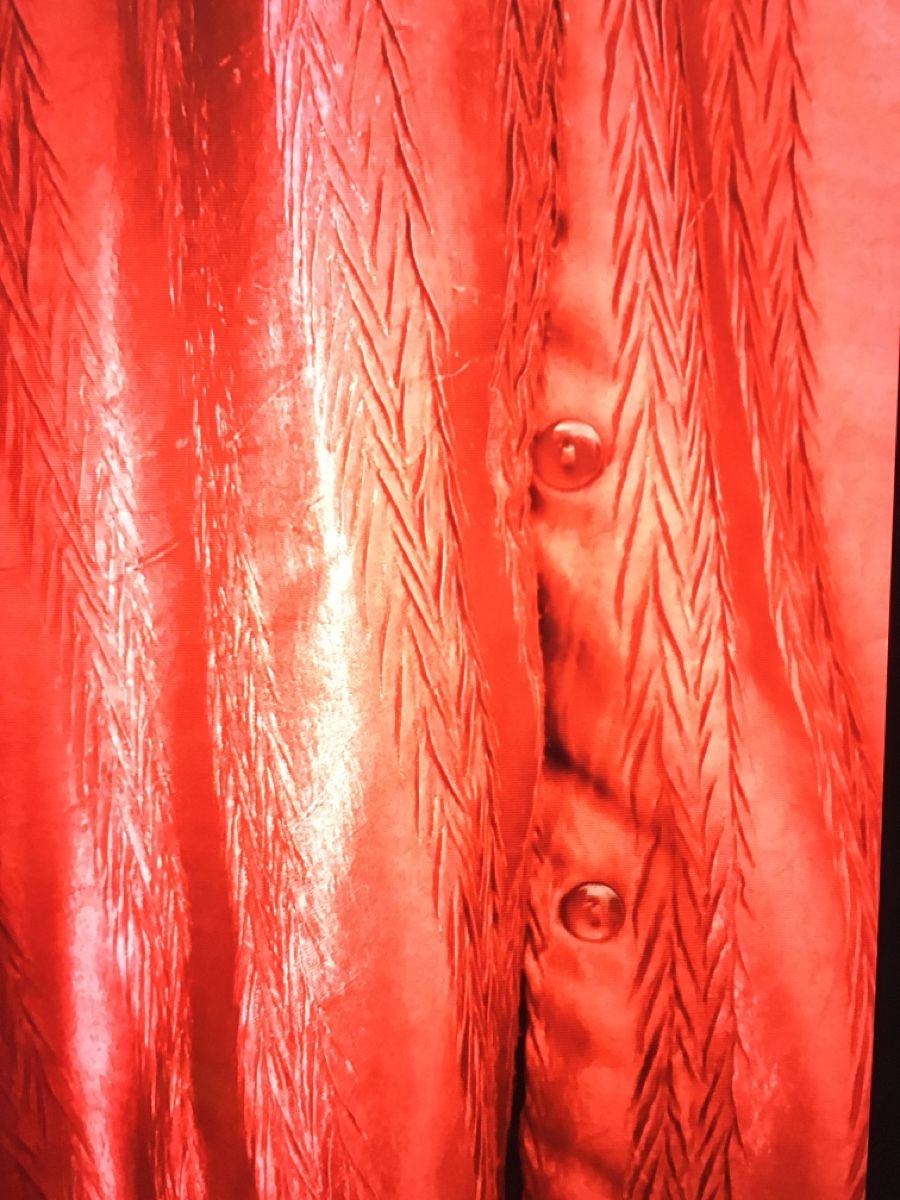 Camicette: Bluse Gr. 44 - 46 WUNDERBARE ROTE FARBE! – Usato da Bellinzona venduto da LuganoBoutique 3