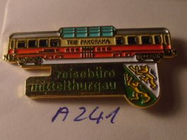 1 Mittelthurgau Reisebüro Eisenbahn Pin (A241)