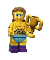 Lego Minifigures (Minifiguren) Serie 15