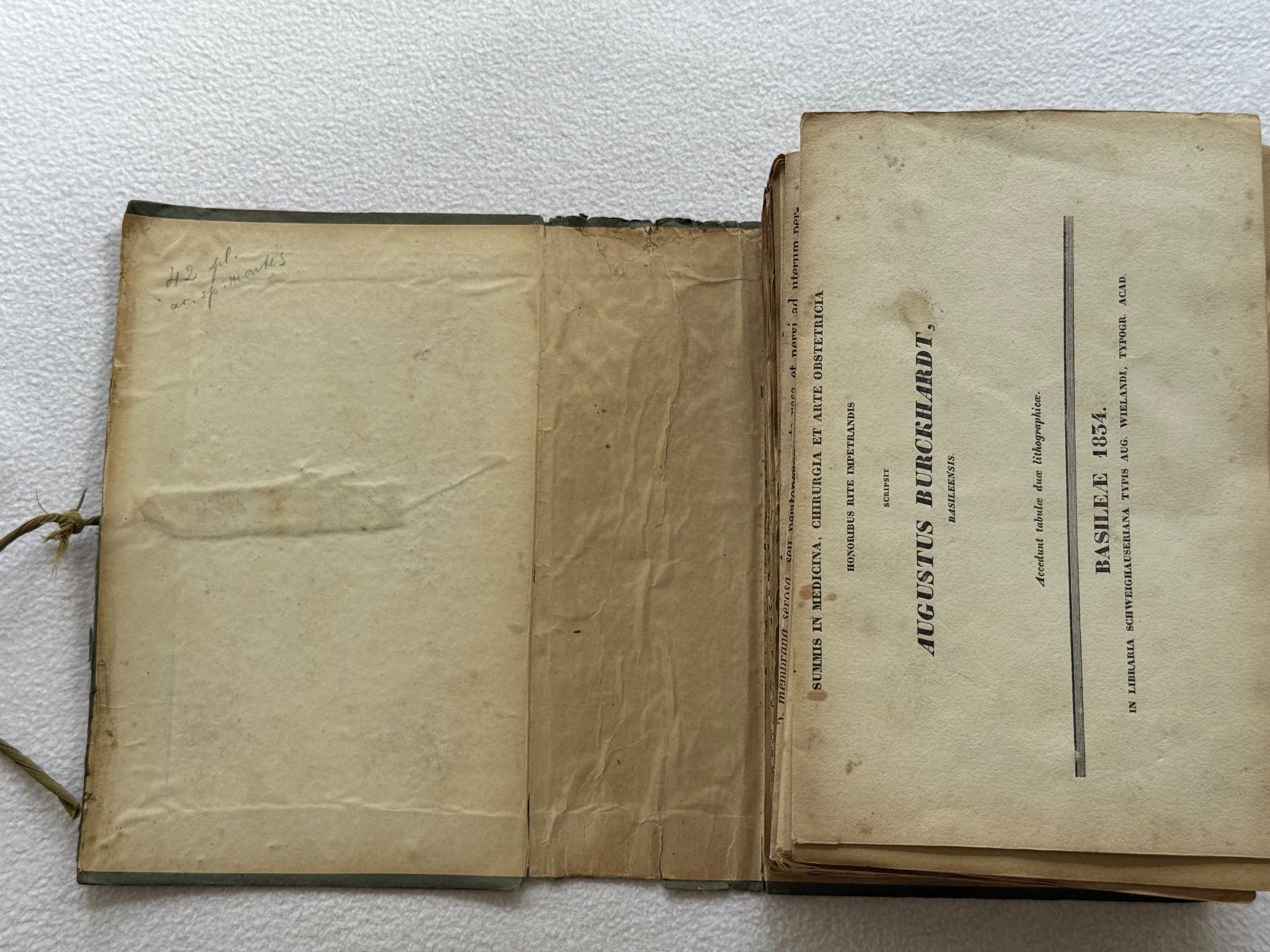 Libri: Antikes Herbarium von 1856 – Usato da Bern venduto da xberg36 4