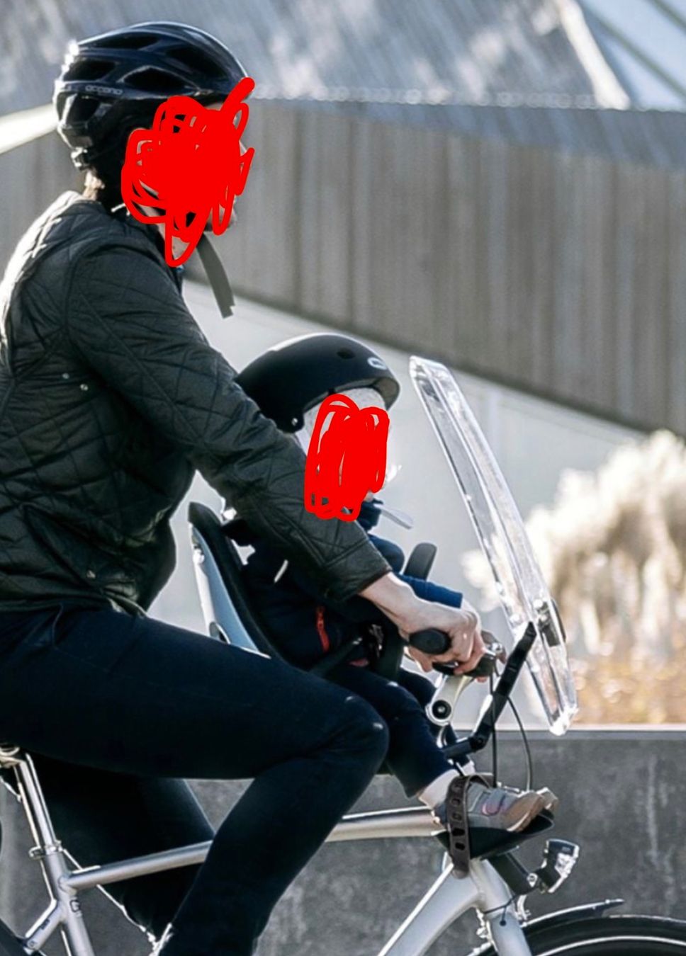 Thule Ersatzteile: Thule Fahrradsitz Front inkl. Windschutz – Gebraucht aus Jonen von alfombra 4