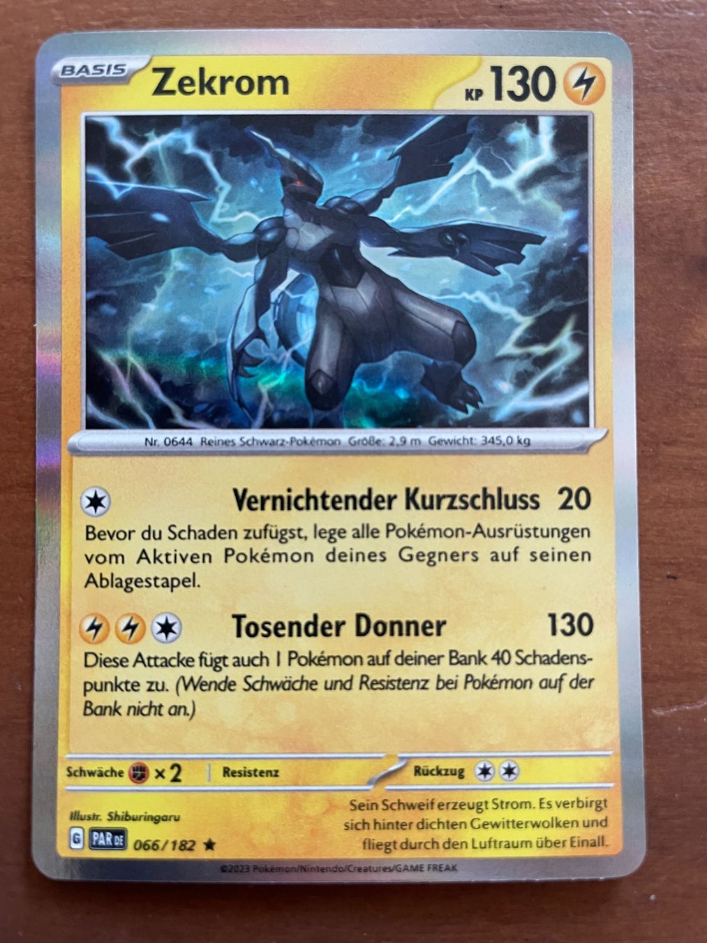 Pokémon Sammelbilder & Trading cards: Pokemon Zekrom Holo (Versand gratis) – Neu (gemäss Beschreibung) aus Chur von Angerson