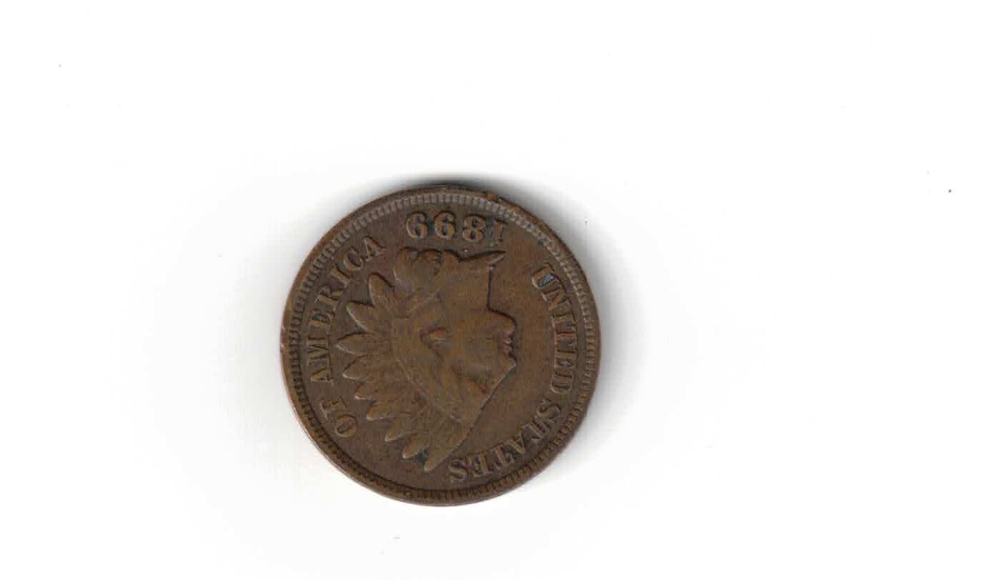 Tutti le monete: USA 1899 Indian Head Cent Penny – Usato da Bottmingen venduto da Golferin 1