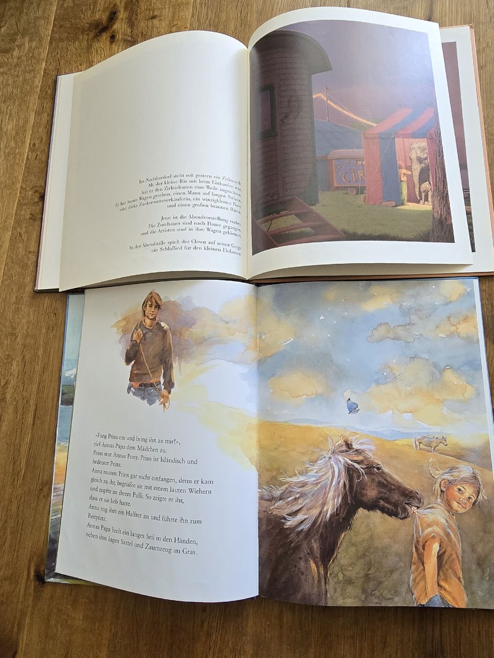 Libri: bücher für kinder – Usato da Wittenbach venduto da Tigerlili 3