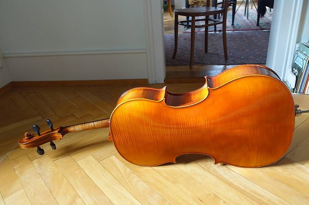 Strumenti musicali: 4/4 Cello massiv – Usato da Bern venduto da Els_g2n8 4