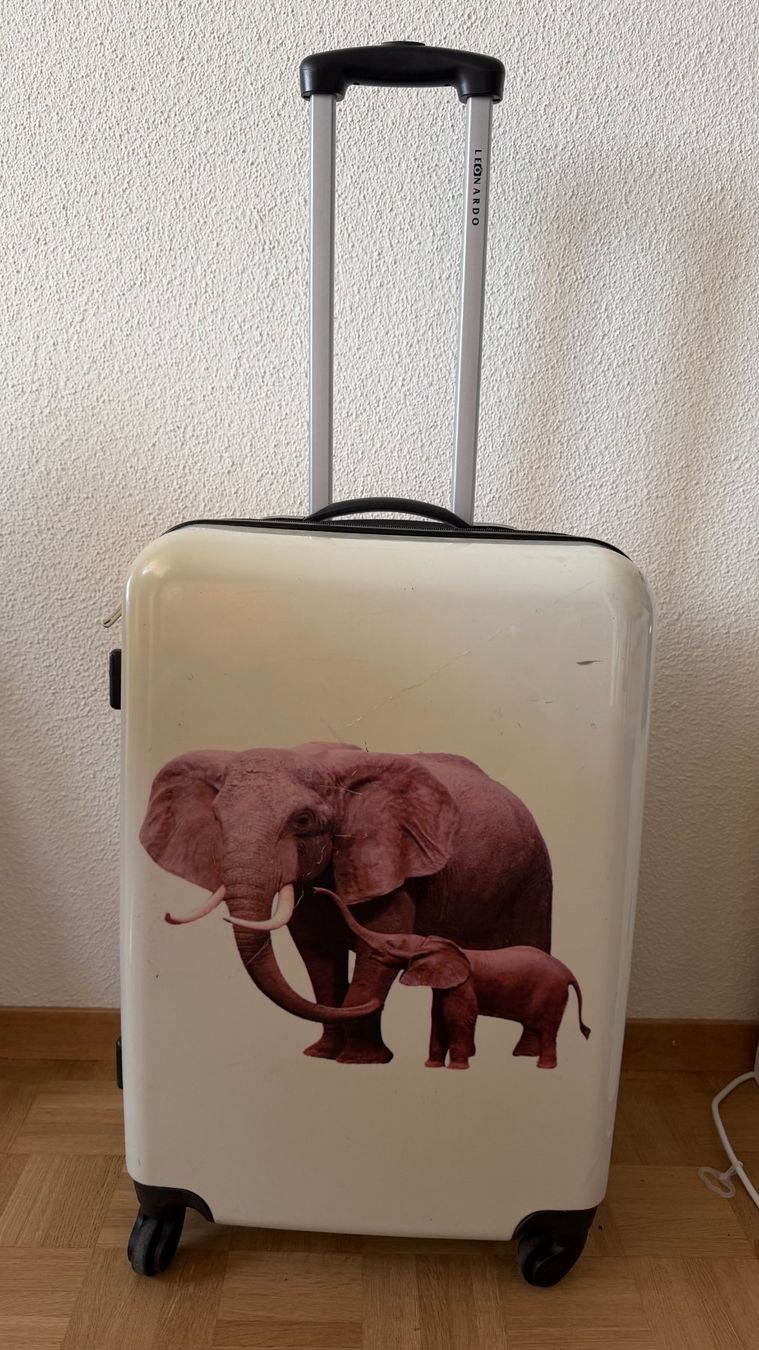 Reisekoffer: Valise rigide Leonardo 59 cm, bon état – Gebraucht aus Genève von dkr_j29m