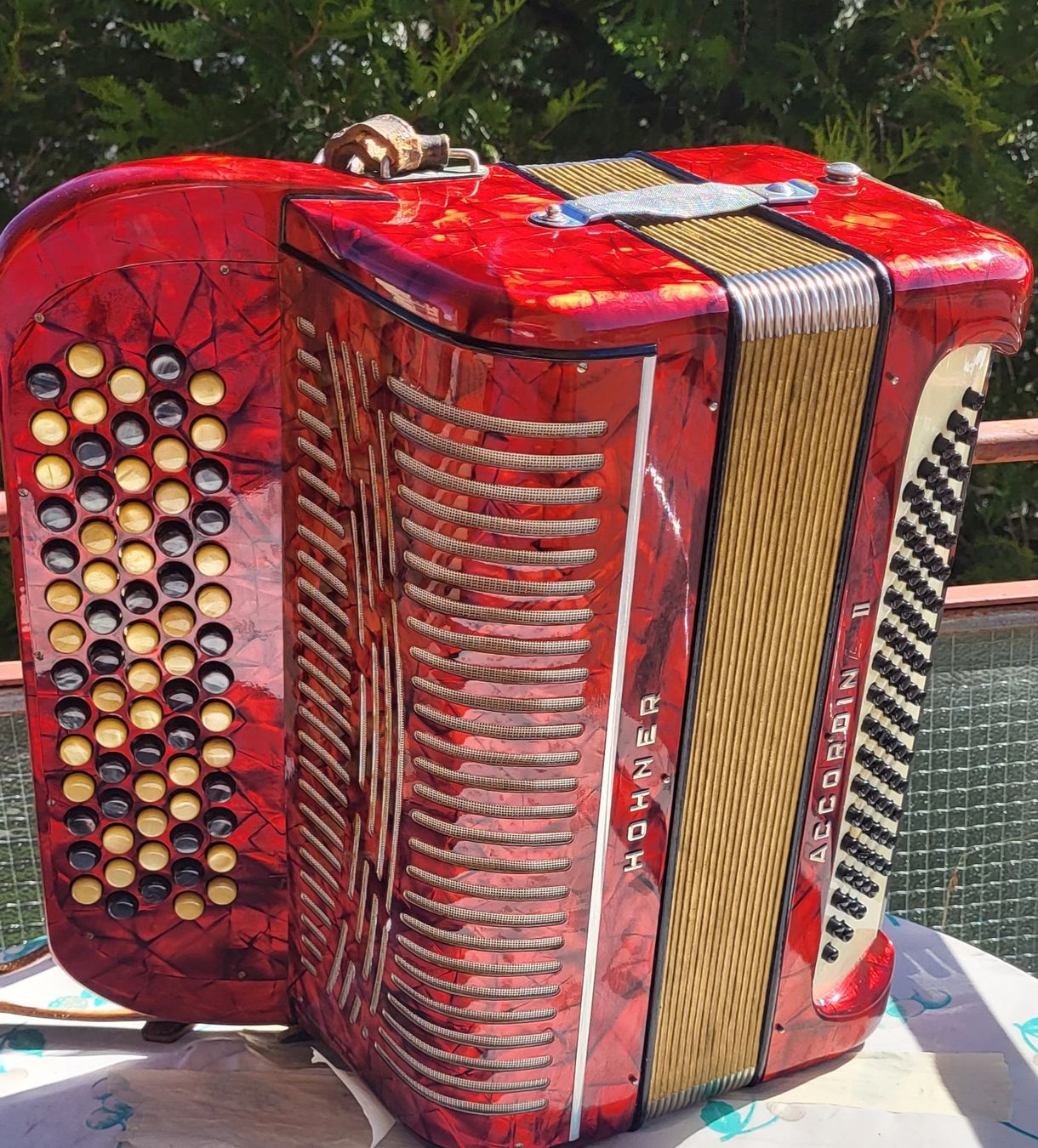 Hohner Strumenti musicali: accordéon hohner Accordina II – Usato da Penthalaz venduto da EvandroLuz 1