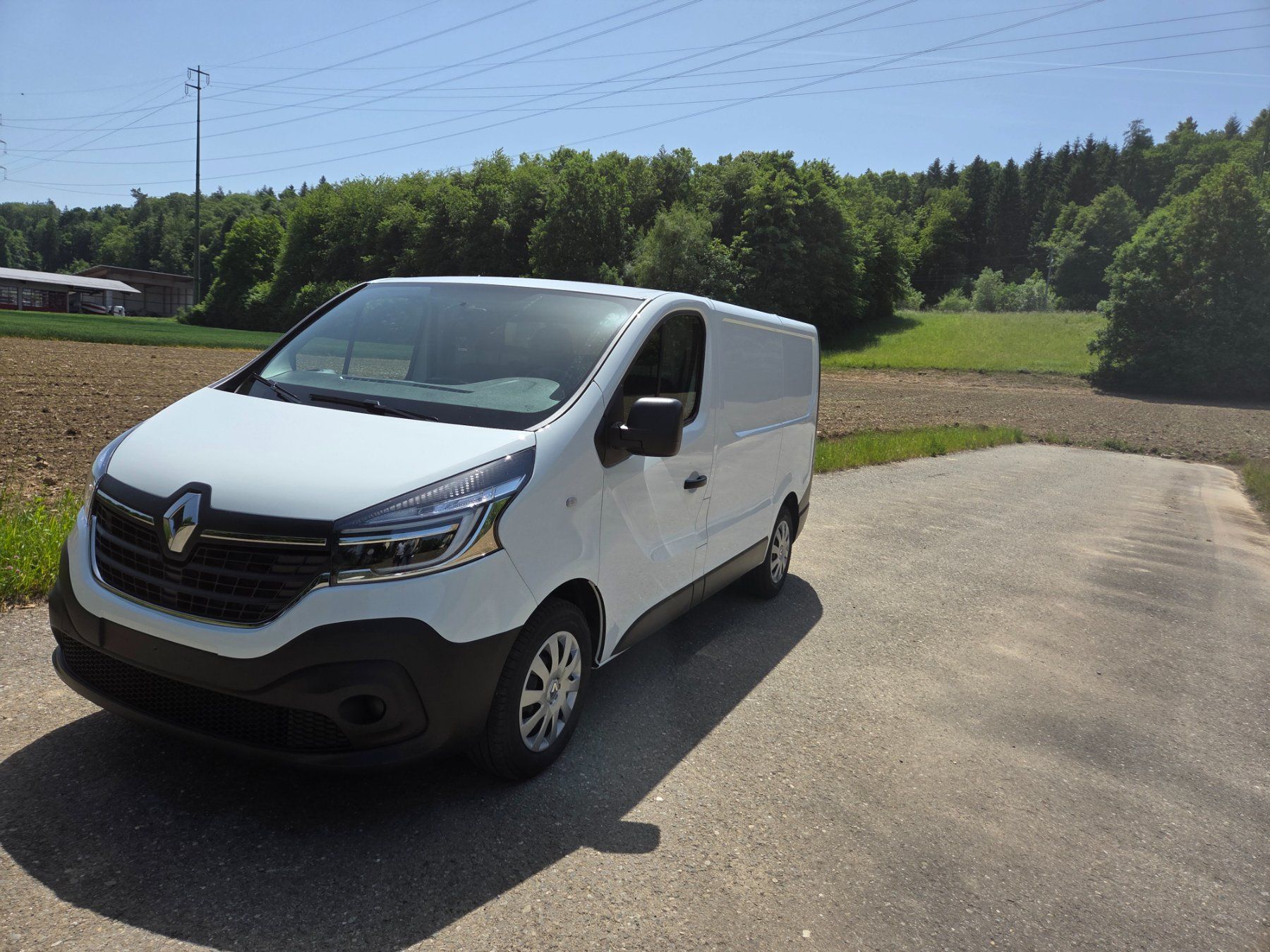 Renault Veicoli commerciali: Renault Trafic 2.0 dCi 120 – Usato da Fischbach-Göslikon venduto da Emanuel.Bardhi 1