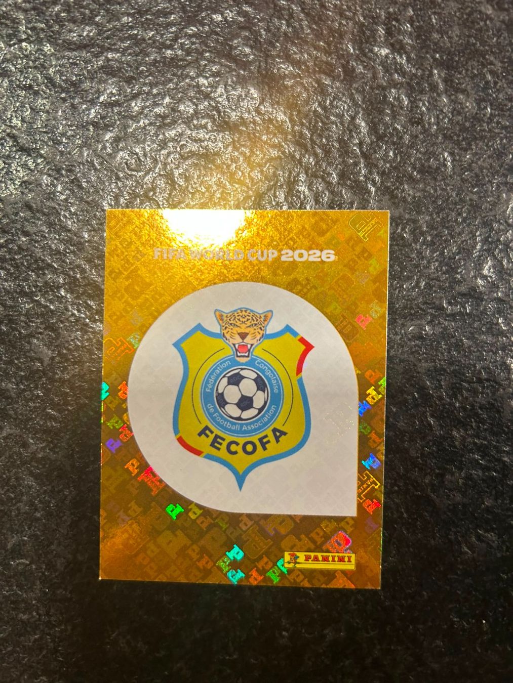 Panini Carte collezionabili: Panini Sticker - DR Kongo – Nuovo (secondo la descrizione) da Rüti ZH venduto da ACL01