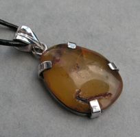 ♥ EDEL: Anhänger / Dominikanischer Bernstein / SALE ♥