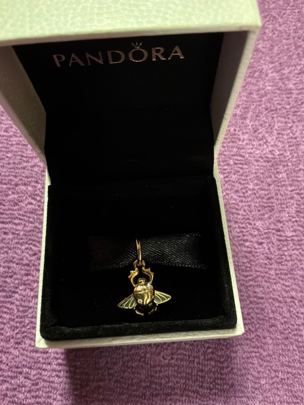 Pandora Ciondoli: Pandora Scarabäus Charm-Anhänger – Nuovo (secondo la descrizione) da Galmiz venduto da Chr7D 1