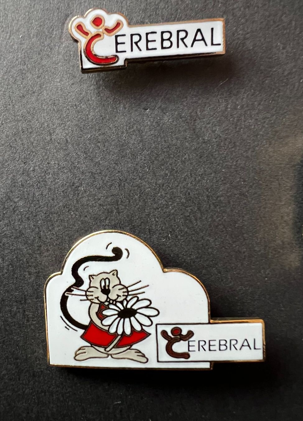 Placchette & Badge: Ansteck-Pins "CEREBRAL" 5er Set.Neu – Nuovo e nell'imballaggio originale da Winterthur venduto da Green-Future 4