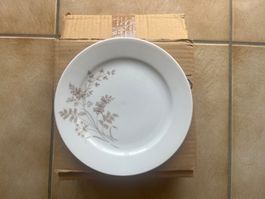 Lot de 6 assiettes BAVARIA PORCELAINE neuves