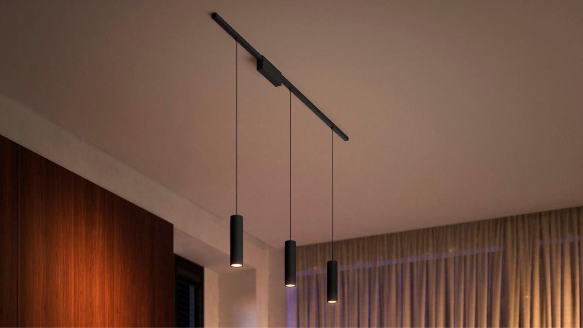 Philips Kronleuchter & Deckenlampen: Philips HUE Perifo Pendelleuchte schwarz Ceiling base kit – Neu (gemäss Beschreibung) aus Strengelbach von retourenjaeger 1