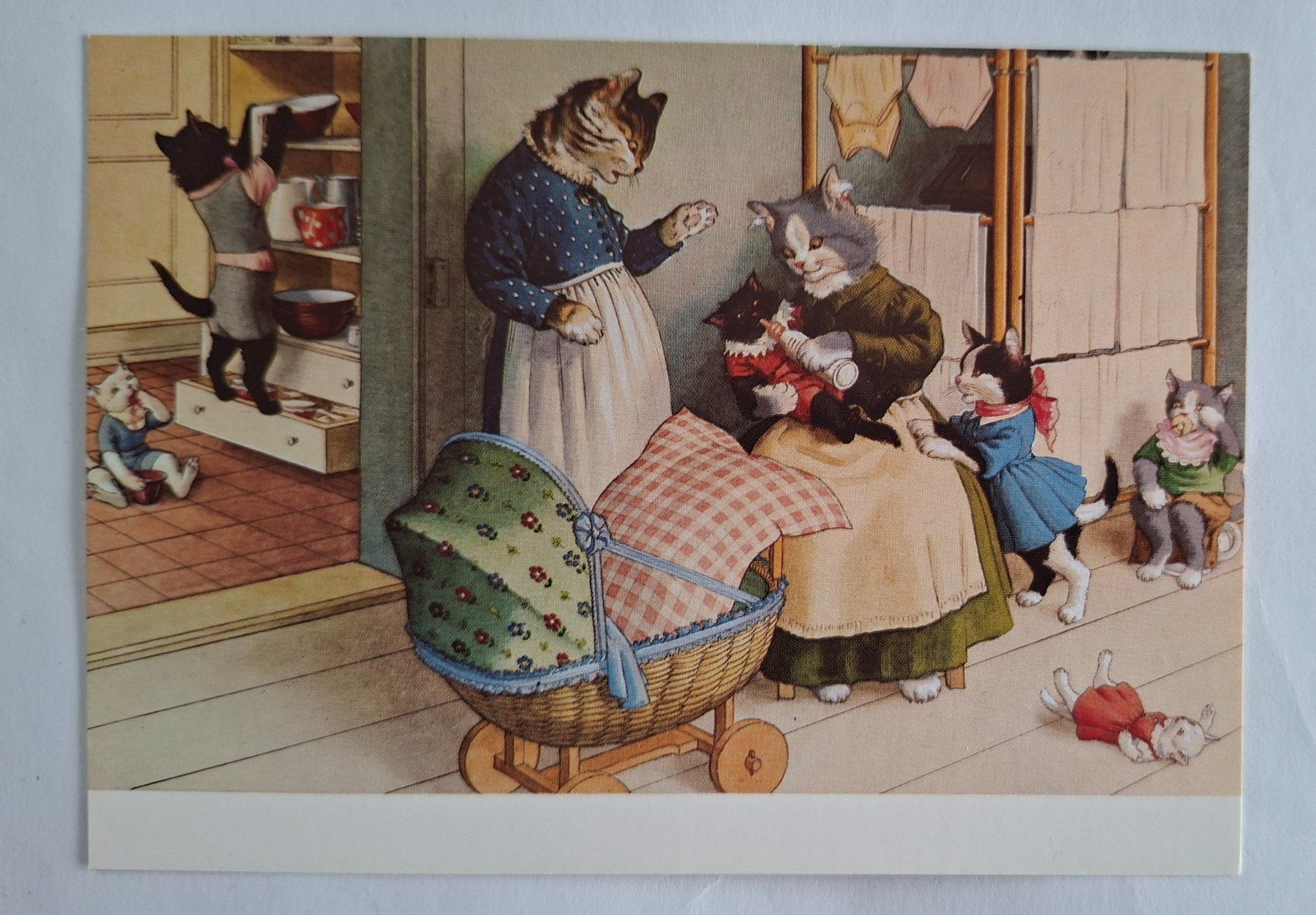 Cartoline postali: AK Katzen Katzenkarte Nr. 227 – Usato da Opfikon venduto da Diversamente