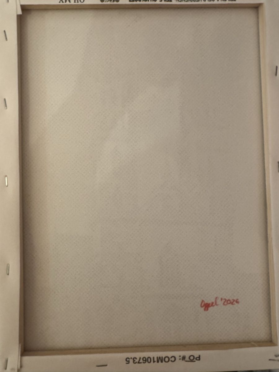 Foto & Immagini: Dot Paintingbild Basler Münster – Nuovo e nell'imballaggio originale da Suhr venduto da Oppel 1