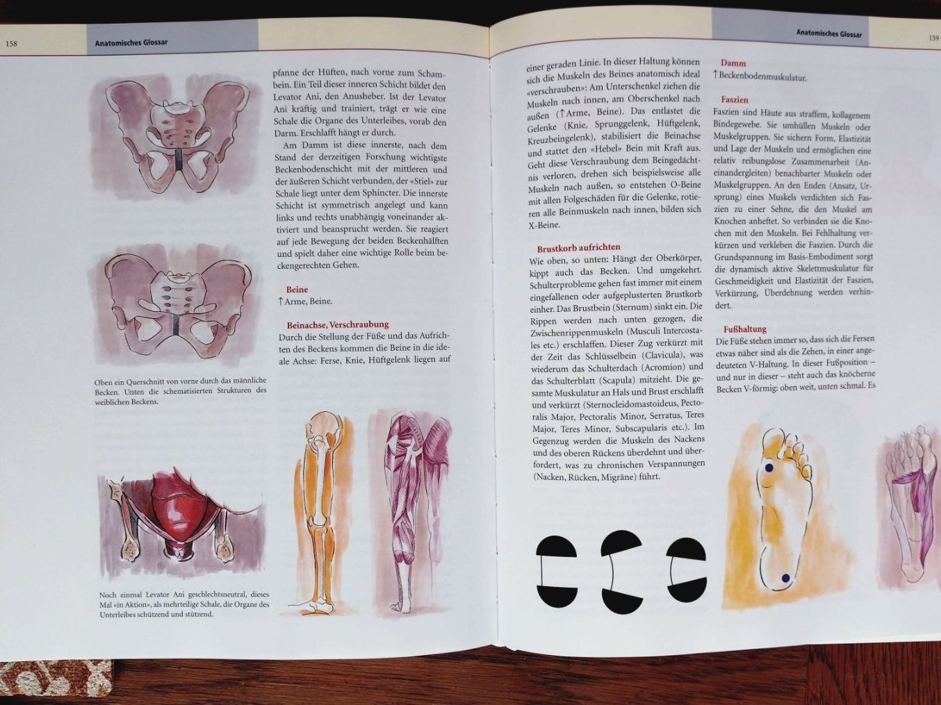 Libri: Embodiment, Storch/Cantoeni/Hüther/Tschacher, 2017 – Usato da Uster venduto da Junipa 5