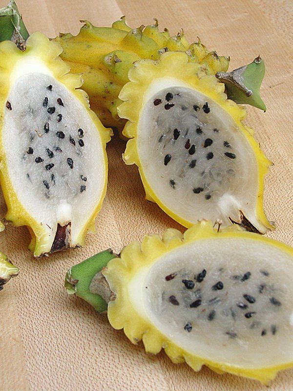 Pflanzen & Samen: Gelbe Drachenfrucht, Pitahaya - 30 Samen – Neu und originalverpackt aus Sumiswald von Cham14558 3