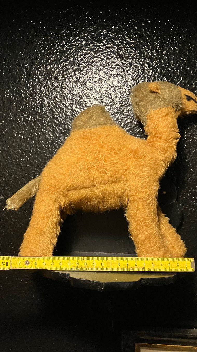 Steiff Giocattoli: Peluche ancienne Kamel Dromadaire Steiff (?) – Usato da St-Cierges venduto da LeRegain 4